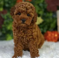 processed/53ec6c31-6d37-480b-b99b-d0c8cb6a8060/facility/6088ef1a-7980-49e8-9fb6-4e748a36b966