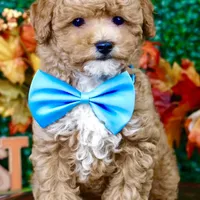 processed/53ec6c31-6d37-480b-b99b-d0c8cb6a8060/facility/c61d7dd6-1d6e-45b3-9090-ea5ebfe7878c