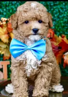 processed/53ec6c31-6d37-480b-b99b-d0c8cb6a8060/facility/c61d7dd6-1d6e-45b3-9090-ea5ebfe7878c