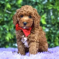 processed/53ec6c31-6d37-480b-b99b-d0c8cb6a8060/facility/cf8e19dc-7b78-4706-9f25-ebd09723477f