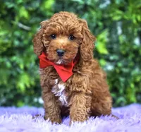 processed/53ec6c31-6d37-480b-b99b-d0c8cb6a8060/facility/cf8e19dc-7b78-4706-9f25-ebd09723477f