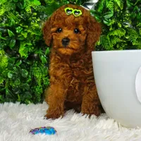 processed/53ec6c31-6d37-480b-b99b-d0c8cb6a8060/facility/da4c8819-3f77-4e4c-b331-7233942f234e