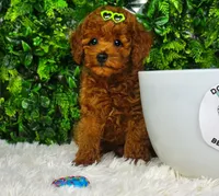 processed/53ec6c31-6d37-480b-b99b-d0c8cb6a8060/facility/da4c8819-3f77-4e4c-b331-7233942f234e