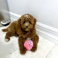 processed/53ec6c31-6d37-480b-b99b-d0c8cb6a8060/facility/f8338ef7-ced5-481f-9a55-a915bf893132