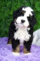 processed/53ec6c31-6d37-480b-b99b-d0c8cb6a8060/listing/786c5883-9273-4f45-b8b4-6a7390abc886/4262149b-5d51-4524-88dd-6aacb9057dfc