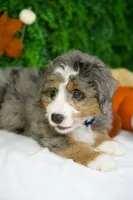 processed/53ec6c31-6d37-480b-b99b-d0c8cb6a8060/listing/f5627701-52e9-4260-95e1-baf5e8a9c96d/014c16d7-ad07-4823-b370-828204605fd6