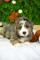 processed/53ec6c31-6d37-480b-b99b-d0c8cb6a8060/listing/f5627701-52e9-4260-95e1-baf5e8a9c96d/4d7c2fb4-0940-4af6-aa18-6215986ee093