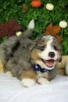 processed/53ec6c31-6d37-480b-b99b-d0c8cb6a8060/listing/f5627701-52e9-4260-95e1-baf5e8a9c96d/89990264-f7f7-4380-b5b3-c5f9a3615350