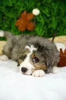 processed/53ec6c31-6d37-480b-b99b-d0c8cb6a8060/listing/f5627701-52e9-4260-95e1-baf5e8a9c96d/8d645c8c-397d-4627-9a3c-acba3a1b8ef6