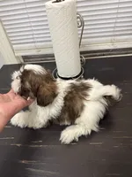 processed/53ed6a69-f058-4b5f-a9a7-374e45c393bb/listing/16c2581a-b67f-4953-b16d-020dd601c200/1fa0f6e9-0a96-45fc-b086-d9e57d9d8924