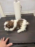 processed/53ed6a69-f058-4b5f-a9a7-374e45c393bb/listing/16c2581a-b67f-4953-b16d-020dd601c200/6927ad83-1e53-4983-af84-1b9504994fc7