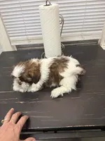 processed/53ed6a69-f058-4b5f-a9a7-374e45c393bb/listing/16c2581a-b67f-4953-b16d-020dd601c200/6e1012b1-ee4f-42e8-9dae-c12cd4aad2fa