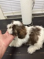 processed/53ed6a69-f058-4b5f-a9a7-374e45c393bb/listing/16c2581a-b67f-4953-b16d-020dd601c200/cf91773b-d2fe-4e0e-a481-82690bede81d