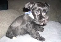 processed/53efdf05-3e33-4a5e-87fd-15d51aea9d37/listing/2bb8650d-ef3a-4822-9b72-accf7f360e8d/321c7099-1d70-448b-b58e-82ef999165cc