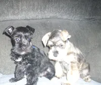 processed/53efdf05-3e33-4a5e-87fd-15d51aea9d37/listing/2bb8650d-ef3a-4822-9b72-accf7f360e8d/51208e8d-f9d2-4100-bda5-7858ba0d9888