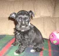 processed/53efdf05-3e33-4a5e-87fd-15d51aea9d37/listing/2bb8650d-ef3a-4822-9b72-accf7f360e8d/60c42542-f5c0-4ba3-87c1-f2501d0b146b