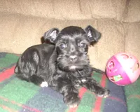 processed/53efdf05-3e33-4a5e-87fd-15d51aea9d37/listing/2bb8650d-ef3a-4822-9b72-accf7f360e8d/8c8b7d9b-56a1-4b78-b818-6d9c41fe933a