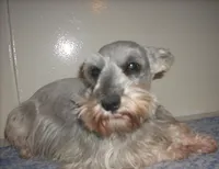 processed/53efdf05-3e33-4a5e-87fd-15d51aea9d37/listing/2bb8650d-ef3a-4822-9b72-accf7f360e8d/b301cb97-e15c-4fb0-8eb6-b8fe0f33f2b7