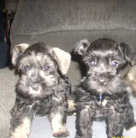 processed/53efdf05-3e33-4a5e-87fd-15d51aea9d37/listing/ee1d2175-0ccb-41cb-a20e-f08a5cba22e9/2c91ff01-6b15-4075-b456-81b325cc1ba9