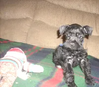 processed/53efdf05-3e33-4a5e-87fd-15d51aea9d37/listing/ee1d2175-0ccb-41cb-a20e-f08a5cba22e9/36523f33-548a-49c4-82b7-b9efaa955a01