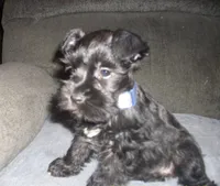 processed/53efdf05-3e33-4a5e-87fd-15d51aea9d37/listing/ee1d2175-0ccb-41cb-a20e-f08a5cba22e9/84adfd28-ca11-4e09-8810-ce4bdef417c5