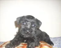 processed/53efdf05-3e33-4a5e-87fd-15d51aea9d37/listing/ee1d2175-0ccb-41cb-a20e-f08a5cba22e9/c898fbc1-4fb6-4dbb-922b-936546f572c3