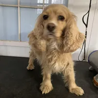 processed/53f9f4d2-4719-4513-ac03-38705bbb22c9/facility/7aa84136-58ff-421b-8798-82fd8fcbe4cc