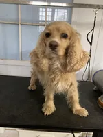 processed/53f9f4d2-4719-4513-ac03-38705bbb22c9/facility/7aa84136-58ff-421b-8798-82fd8fcbe4cc