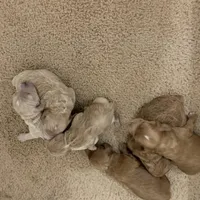 processed/53f9f4d2-4719-4513-ac03-38705bbb22c9/facility/7c2ec3ee-715f-4ceb-a0e0-121d0e4ba260