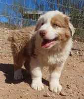 processed/53fa58fe-3574-4881-b0c9-aa24b0eba1b1/facility/24621b7c-47a8-4647-9c9d-c28532573b09