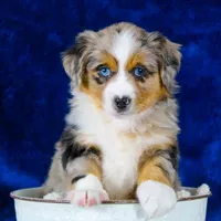 processed/53fa58fe-3574-4881-b0c9-aa24b0eba1b1/facility/4a2f3039-2796-426c-8b64-d4879c2485dd