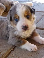 processed/53fa58fe-3574-4881-b0c9-aa24b0eba1b1/facility/74ca8aa7-32b0-4aca-b5b1-960e59cdbd7c