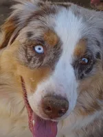 processed/53fa58fe-3574-4881-b0c9-aa24b0eba1b1/facility/eff68739-5850-4ad0-b611-511af603dce9