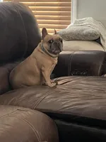 processed/53fd4a41-79c8-4ac5-9191-42e215aea50f/facility/94296d69-3f91-44b8-9747-a13661e8f043