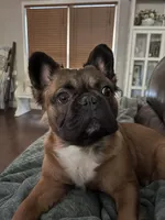 processed/53fd4a41-79c8-4ac5-9191-42e215aea50f/facility/dec2adfb-f7f1-46b8-bb52-dda517c23bfb