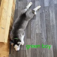 processed/5409d339-ba0c-4a4d-b814-1bebf56da526/listing/b4eab7d6-8444-4cc2-95f5-b2773f7dfab2/24c3f6d2-1aae-4590-8af4-11f8293e62e5