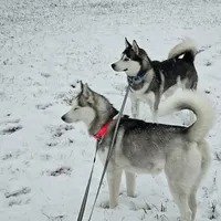 processed/5409d339-ba0c-4a4d-b814-1bebf56da526/listing/b4eab7d6-8444-4cc2-95f5-b2773f7dfab2/460cb542-01af-4f19-9af6-0b348200bdff