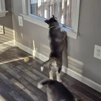 processed/5409d339-ba0c-4a4d-b814-1bebf56da526/listing/b4eab7d6-8444-4cc2-95f5-b2773f7dfab2/62191d8b-b15c-40bb-880b-eab73a241352