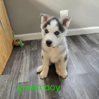 processed/5409d339-ba0c-4a4d-b814-1bebf56da526/listing/b4eab7d6-8444-4cc2-95f5-b2773f7dfab2/740b98f5-cebf-4443-b4e6-9688455686b0