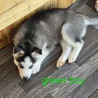 processed/5409d339-ba0c-4a4d-b814-1bebf56da526/listing/b4eab7d6-8444-4cc2-95f5-b2773f7dfab2/976fbeaf-f385-499f-8f93-5c4ca53778c1