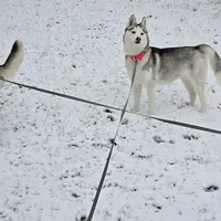 processed/5409d339-ba0c-4a4d-b814-1bebf56da526/listing/b4eab7d6-8444-4cc2-95f5-b2773f7dfab2/e1739013-588c-4ecb-be95-2afd115cc94f