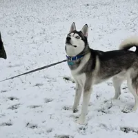 processed/5409d339-ba0c-4a4d-b814-1bebf56da526/listing/b4eab7d6-8444-4cc2-95f5-b2773f7dfab2/eb61ae13-81db-4ea2-a32d-2bb18264212d