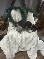 processed/540e524c-205e-4cc1-92cd-d3b7c57e3c69/listing/0845037a-ab54-4aec-9f0f-49d4541dbedf/0be38381-f965-4f17-ad64-7fc36279da1f