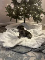 processed/540e524c-205e-4cc1-92cd-d3b7c57e3c69/listing/0845037a-ab54-4aec-9f0f-49d4541dbedf/673d1b6e-1fef-49a1-bce0-658447fce931