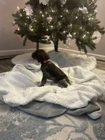 processed/540e524c-205e-4cc1-92cd-d3b7c57e3c69/listing/0845037a-ab54-4aec-9f0f-49d4541dbedf/8184fa6d-feaf-4fff-a3f1-da06538c844f