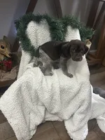 processed/540e524c-205e-4cc1-92cd-d3b7c57e3c69/listing/0845037a-ab54-4aec-9f0f-49d4541dbedf/9d0f3b79-72f8-4263-9e5a-b371b67c5f3d