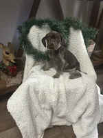 processed/540e524c-205e-4cc1-92cd-d3b7c57e3c69/listing/0845037a-ab54-4aec-9f0f-49d4541dbedf/a0916f47-b8e0-476b-8b99-47fda5ef62d5