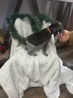 processed/540e524c-205e-4cc1-92cd-d3b7c57e3c69/listing/0845037a-ab54-4aec-9f0f-49d4541dbedf/c1320471-c122-4f4d-a5a1-471c7214a81f