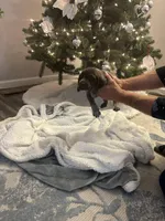 processed/540e524c-205e-4cc1-92cd-d3b7c57e3c69/listing/56eb9a8a-1518-4ec7-a5bd-fbda58b59757/28a1ba09-a670-4bc9-a8bd-26f1dd59a2e9