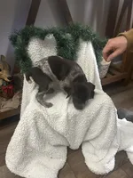 processed/540e524c-205e-4cc1-92cd-d3b7c57e3c69/listing/56eb9a8a-1518-4ec7-a5bd-fbda58b59757/42447fb9-4085-4dec-bf9e-2da2400bd4fd